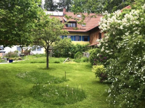 Böllenburg Comfortable holiday residence